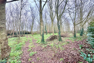 achat maison plouarzel 29810