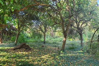 achat maison plouegat-guerand 29620