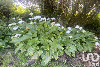 achat maison plouegat-moysan 29650