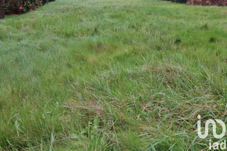 achat maison plouenan 29420