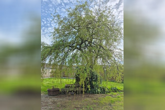 achat maison plouvorn 29420