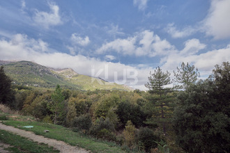 achat maison poggio-di-venaco 20250