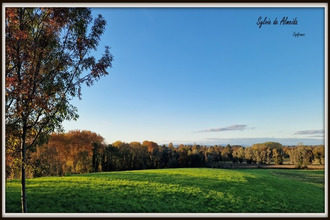 achat maison pont-de-veyle 01290