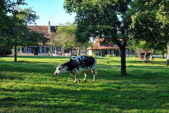 achat maison pont-l-eveque 14130