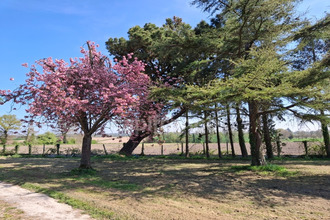 achat maison pontorson 50170