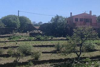 achat maison port-vendres 66660