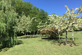 achat maison porto-vecchio 20137