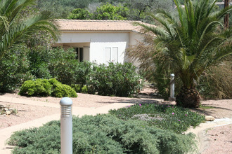 achat maison porto-vecchio 20137