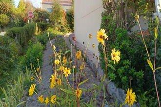 achat maison pouzauges 85700