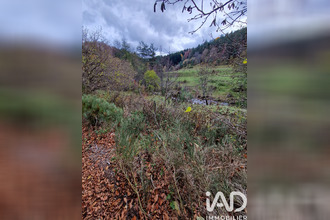 achat maison presailles 43150