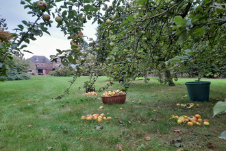 achat maison preux-au-bois 59288