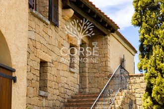 achat maison propriano 20110