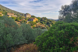 achat maison propriano 20110