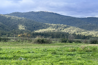 achat maison prunelli-di-fiumorbo 20243