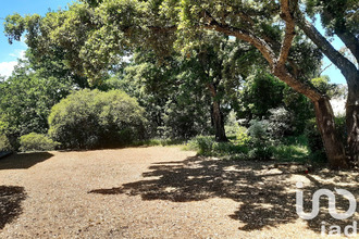 achat maison prunelli-di-fiumorbo 20243