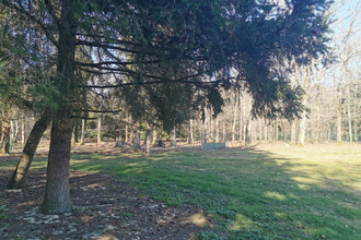 achat maison pruniers-en-sologne 41200