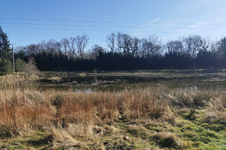 achat maison pruniers-en-sologne 41200