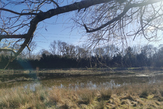 achat maison pruniers-en-sologne 41200