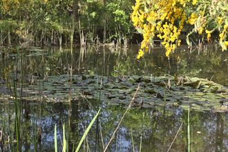 achat maison pruniers-en-sologne 41200