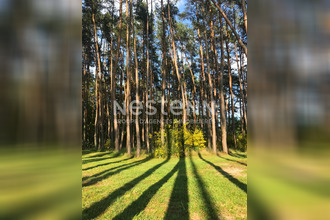 achat maison pruniers-en-sologne 41200