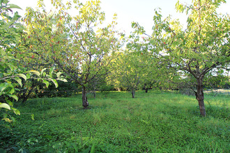 achat maison puellemtier 52220