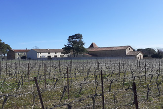 achat maison puisserguier 34620