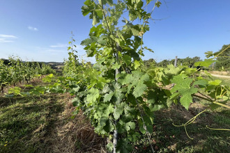 achat maison puy-d-arnac 19120