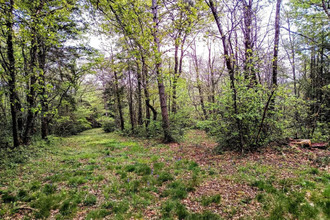 achat maison puycalvel 81440