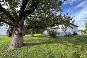 achat maison quatzenheim 67117