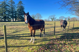 achat maison radon 61250