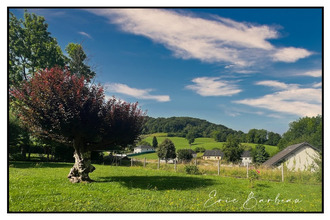 achat maison rebenacq 64260