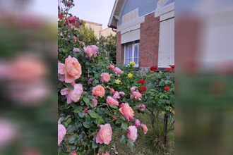 achat maison reims 51100