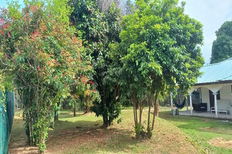 achat maison remire-mtjoly 97354