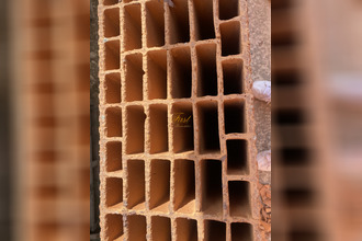 achat maison restinclieres 34160