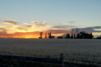 achat maison revel 31250