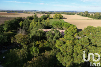 achat maison revel 31250