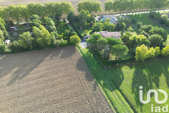 achat maison revel 31250