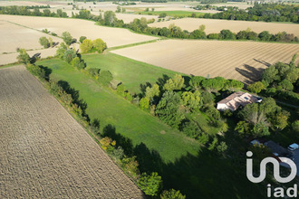 achat maison revel 31250