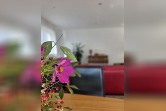 achat maison richwiller 68120