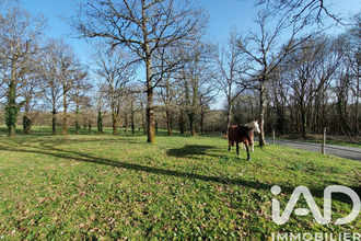 achat maison rochechouart 87600