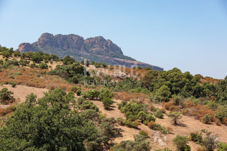 achat maison roquebrune-sur-argens 83520