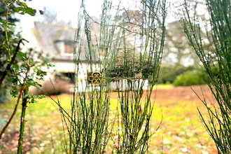 achat maison roscoff 29680