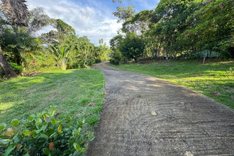 achat maison roura 97311