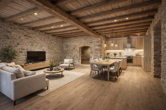 achat maison sain-bel 69210