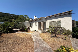 achat maison san-martino-di-lota 20200