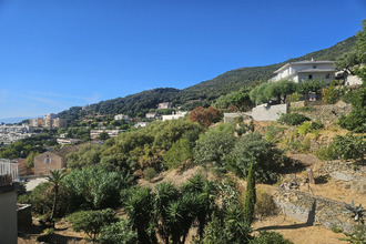 achat maison san-martino-di-lota 20200