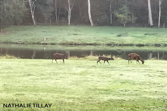 achat maison sandillon 45640