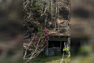 achat maison sansac-veinazes 15120