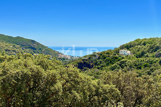 achat maison santa-maria-di-lota 20200