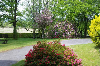 achat maison sarran 19800